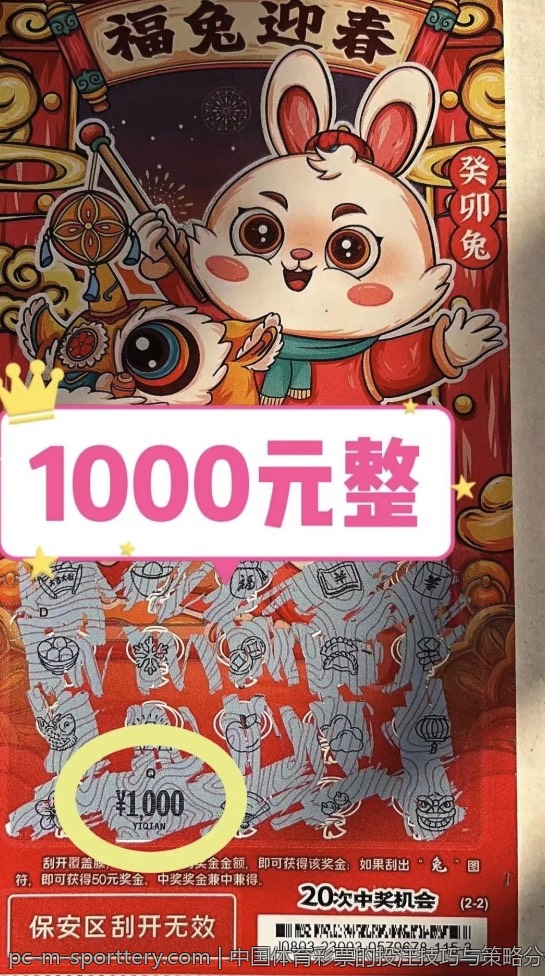 中国体育彩票的投注技巧与策略分析